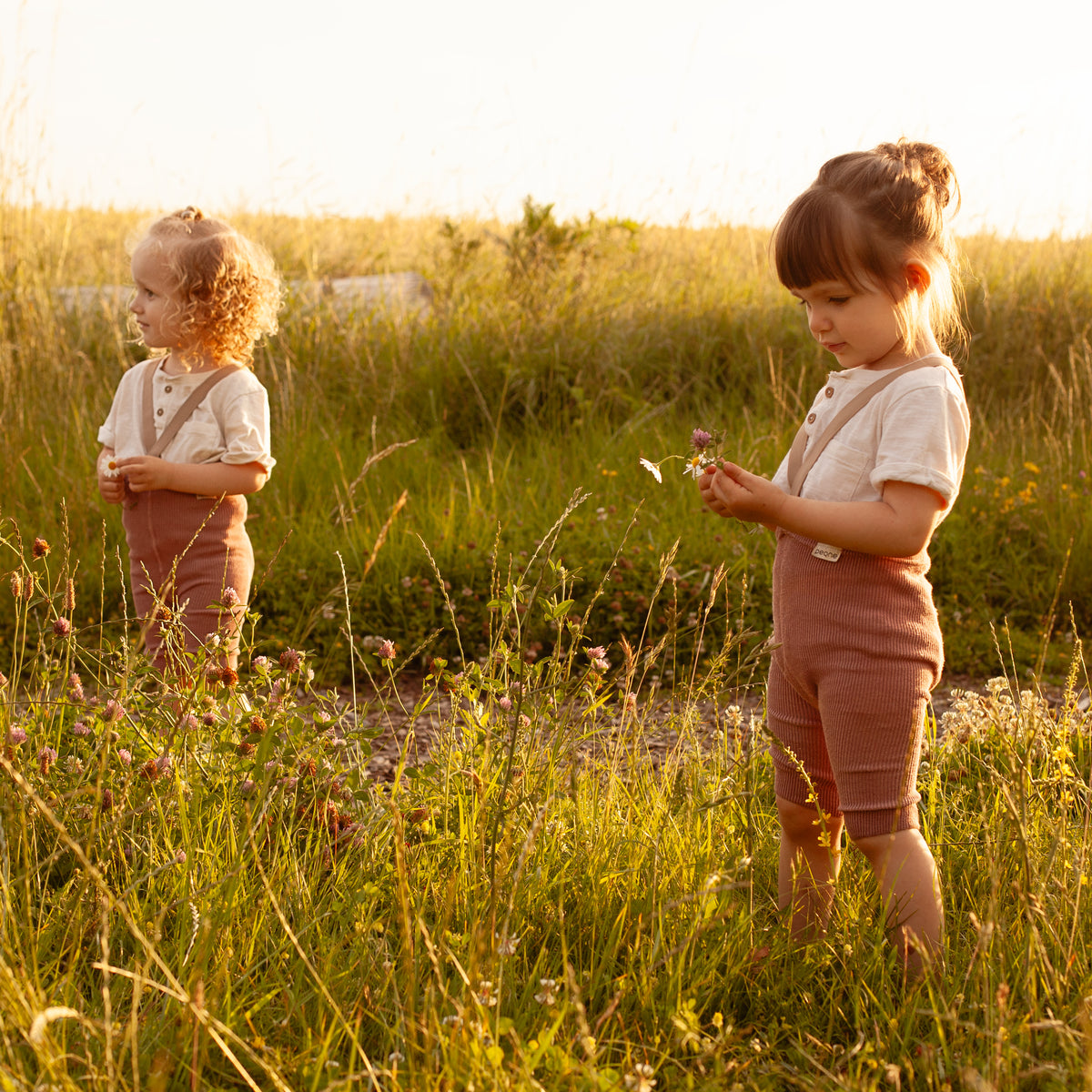 Kraťasy na Traky - Staroružová