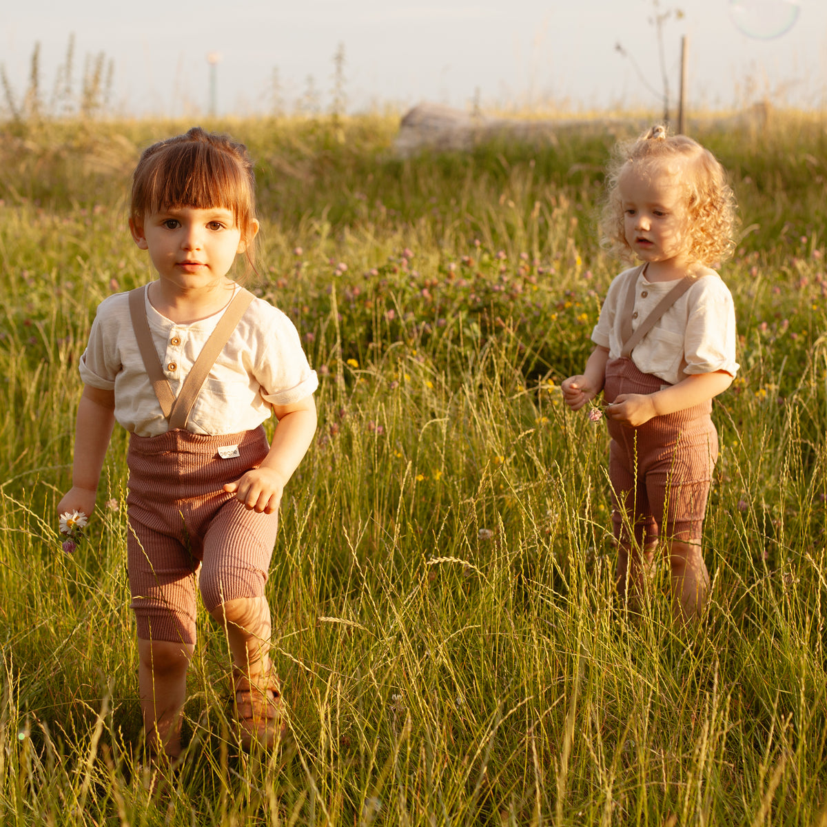 Kraťasy na Traky - Staroružová