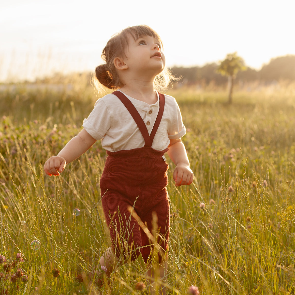 Kraťasy na Traky - Bordová Višňa