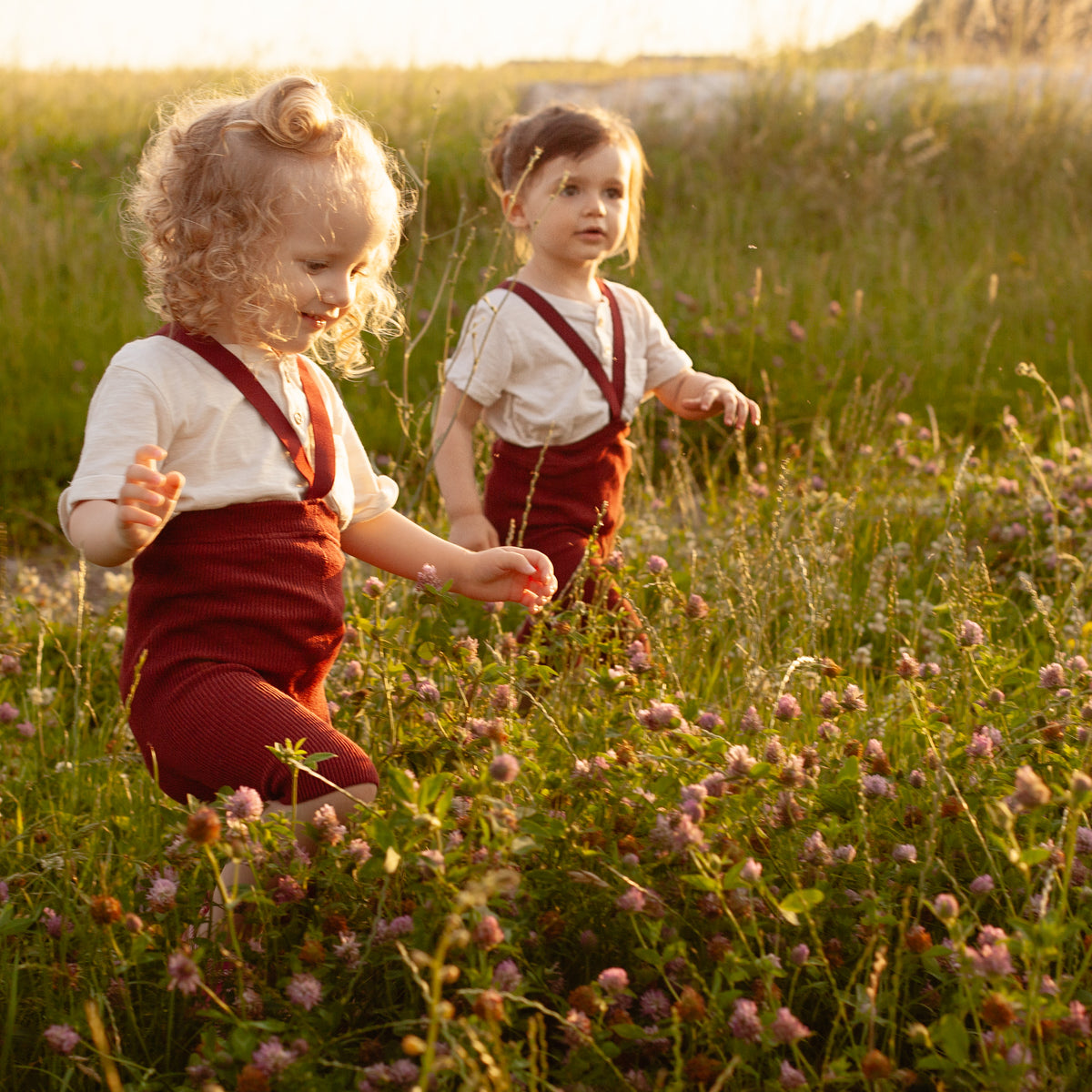 Kraťasy na Traky - Bordová Višňa