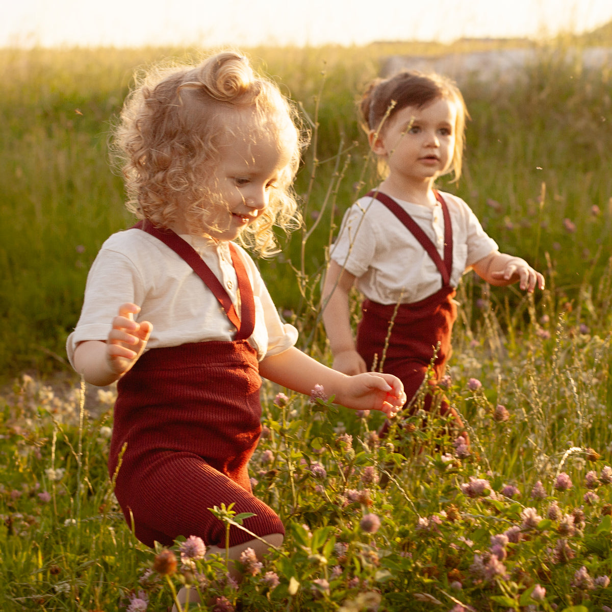 Kraťasy na Traky - Bordová Višňa